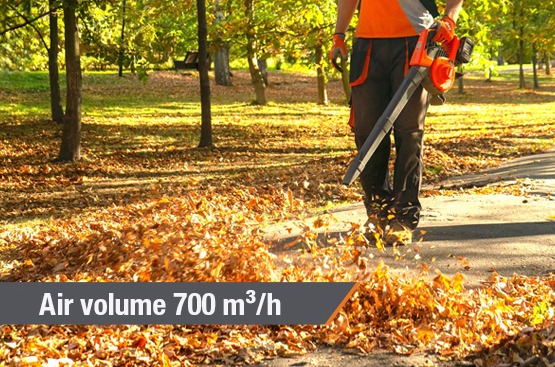 Leaf Blower and Vacuum DAEWOO DABL 9042Li SET