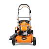 Petrol lawn mower DAEWOO DLM 55SP