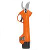 Battery secateur DAEWOO DAGP 2516Li SET