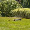 Oscillating sprinkler 2 in 1 DAEWOO DWS 2090